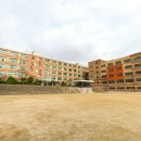 영성여자중학교 네이버블로그
