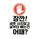 고고점핑다이어트 이미지
