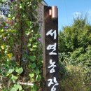 서현농장 이미지