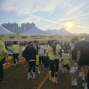 개벤져스 | 🎉 2025 부산 미니언즈런 다녀온 후기💛🐥 주차꿀팁까지!!