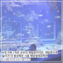 진우유통 - 청주시 상당구 남사로89번길 35 | 4대 가족 | 작은 규모의 체험관이지만, 재방문으로 놀이가 더 풍성해진 시흥 해양생태과학관