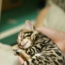 말랑말랑 이미지