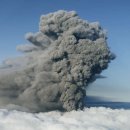 ​전 세계 공항에서 벌어진 기이한 사건들 이미지