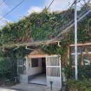 매화목장 이미지