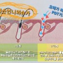 금손언니 - 부산진구 | 금손언니