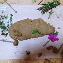 초대어린이집 이미지