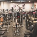 워너비즈 이미지