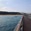 후정해수욕장 Daum카페