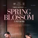 블라썸미디어