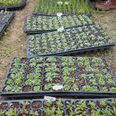 동두천역 이미지