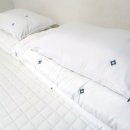 진흥민박 이미지