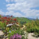 김천한솔펜션 이미지