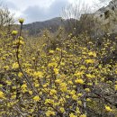 심답경로당 이미지