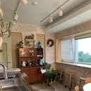 스테이 도토리 이미지