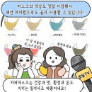 9매하자 네이버블로그