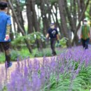 세종모터스(주) 네이버블로그