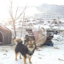 딸부잣집 펜션 이미지