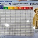 두리동물클리닉 이미지