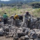 제주돌담 이미지