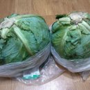 호박마트 이미지