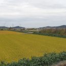 창제보건진료소 네이버블로그