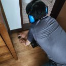 남산안길 이미지