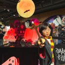 동산그린경로당 | 기장놀거리 롯데월드 부산에 가야하는 이유