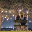 함덕스쿠버다이빙 이미지