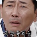 충남 당진 시내 태국음식 맛집 추천 디디타이에서 다섯 가지 먹어봄(메뉴, 가격, 영업시간)