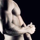 프리독스 이미지