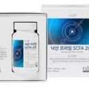 플러스엑스팜 - 서초구 마방로4길 24 | 플러스엑스팜