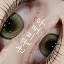 눈꽃브로우