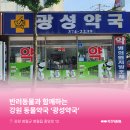 광성약국 네이버블로그