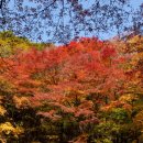 제주도의 가을을 느끼다 : 천아계곡과 어승생악 여행 이미지