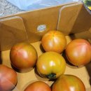 대저농협하나로마트 이미지