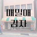 [강릉] 강릉 중앙시장 먹거리 &#39;메밀애감자&#39;