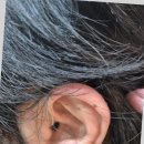 귀팡보청기난청센터 이미지