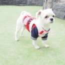 인천가축원 이미지