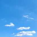 나이스 휘트니스 골프 이미지