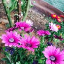 도당동 행정복지센터 이미지