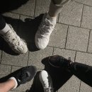 세븐일레븐 용인센터점 | 광교호수공원 러닝/산책 후기