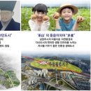 다산도시계획도로 이미지