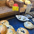 킴스헤어 | 킴스델리마켓 두쫀쿠 두바이소라빵 평일 웨이팅 후기 내돈내산