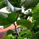 목계주유소 이미지