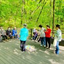 불암산생태공원 50플러스 유아숲교육 초본 (240425) 이미지