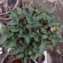 기봉농장 이미지