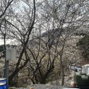 우리꽃캠핑장 | 구례 섬지캠핑장 산수유 명당 은하수동 후기