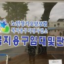 광주북구시니어클럽 자연으로 이미지