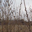 왕골공예가는길 이미지