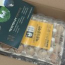 영월동물복지농장 이미지